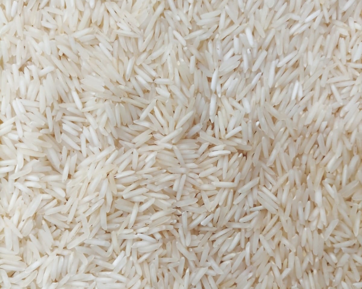 Basmati Rice-1